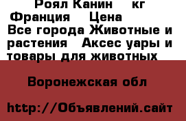  Роял Канин 20 кг Франция! › Цена ­ 3 520 - Все города Животные и растения » Аксесcуары и товары для животных   . Воронежская обл.